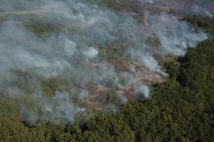Incendio forestal.