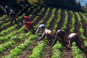 Agricultores de Repelón exigen mejoras en el servicio de energía 