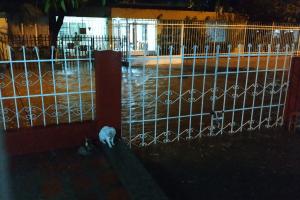 Las lluvias afectaron cerca de 79 barrios de la ciudad 