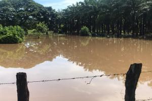 Creciente súbita del Río Tapia en Riohacha 