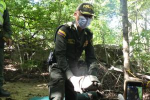 Animales, Liberación, Policía, Coorpamag, Santa Marta, Magdalena