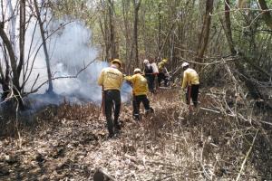 Bomberos de Sitionuevo en extinción de incendio forestal