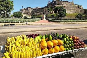 Cartagena pionera en reactivación