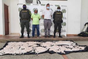 Incautan huevo de iguana