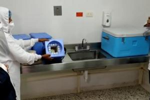 Vacunas contra el covid-19