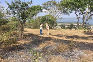 Autoridad ambiental denuncia quema de árboles en el Cerro de la Popa en Cartagena 