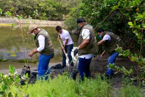 En el 2020 se sembraron 10 mil arboles en Santa Marta