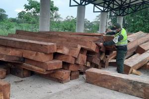 Madera incautada avalada en más de 97 millones de pesos