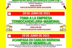 Programación de movilizaciones