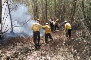 Operativo de extinción de incendio forestal