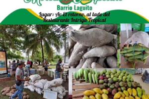 Mercado Campesino en el barrio El Laguito
