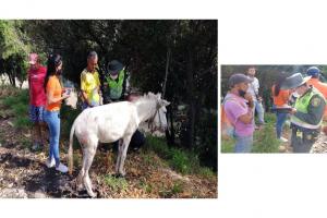 Grupo de Protección Ambiental y Ecológica 