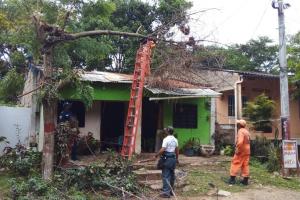 Vendaval afectó viviendas y cultivos en municipios de los Montes de María 