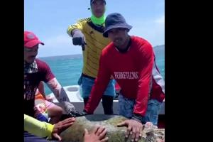 La especie tendría un alto valor comercial en el mercado de fauna ilegal 