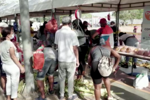 Mercado Campesino