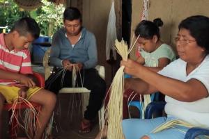   Tuchín es la cuna del sombrero vuelatiao.
