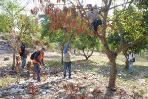 Zonas verdes en Las Gaviotas 