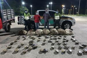 El operativo se llevó a cabo  en Montería 