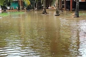 Las lluvias se registraron anoche 