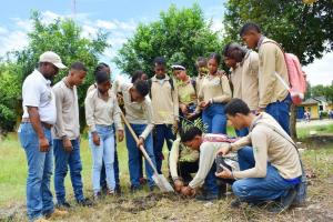 Los árboles sembrados son maderables y frutales para reforestar los ambientes escolares