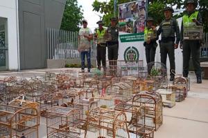 Se logró el rescate de 92 aves de diferentes especies que se encontraban en cautiverio 