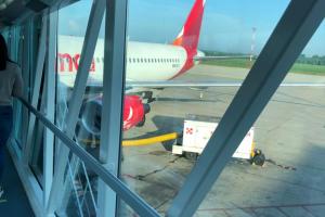 Vuelo de Avianca impactado por aves.