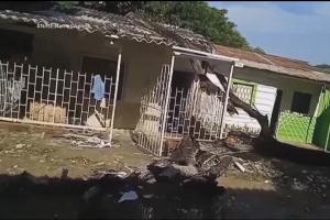 Árbol cayó sobre vivienda e hirió a una joven.