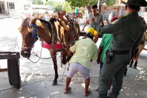 Campaña en contra del maltrato animal 