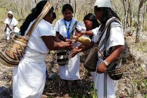 Unesco declaró patrimonio inmaterial y cultural a cuatro pueblos indígenas de la Sierra Nevada