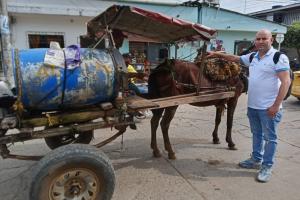 Los  caballos  diariamente transportan agua.