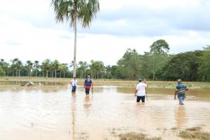 Las inundaciones fueron provocadas por una quebrada. 
