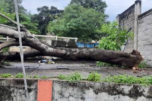 La lluvia estuvo tremenda.
