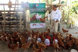   Las restricciones para evitar la comercialización  de aves se han endurecido en Córdoba