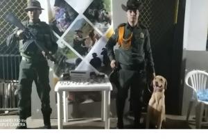 El perro que deja huellas en la Policía 