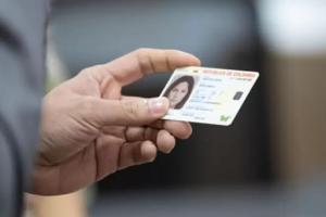 Ruta de identificación