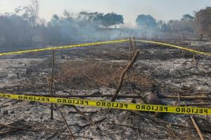 Terrenos de la finca donde ocurrió la tragedia 