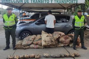 El operativo se llevó a cabo en la Y