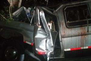 Al parecer, el conductor del vehículo particular se salió de la calzada y chocó contra un árbol.