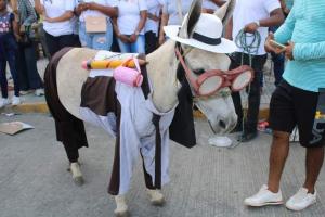  El Festival finaliza el próximo  domingo. 