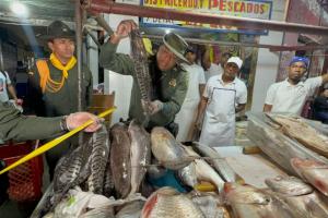 Campaña preventiva para comprar pescado en Bazurto