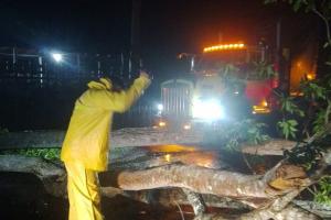  Varios barrios en el sur de la ciudad quedaron sin energía 