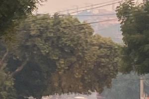 Incendio en Parque Isla Salamanca