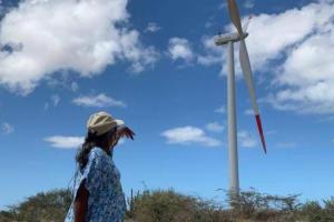 Parque eólico construido en el sector de la Alta Guajira. 