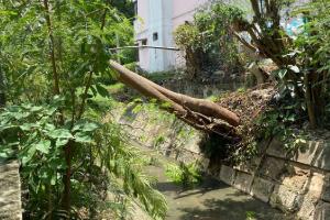 Emergencias en Cartagena