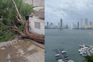 Fuerte brisa en Cartagena 