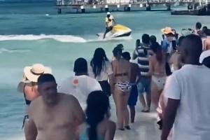 Advertencia de interacción de turistas con especies marinas en vía de extinción 