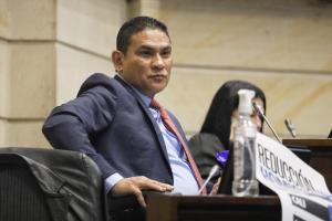 Didier Lobo, Vicepresidente del Senado 