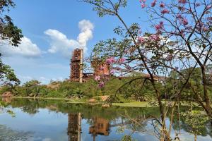 Cerro matoso referencia