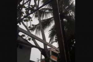 Caída del techo de colegio en Barranquilla