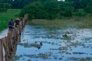 150 familias afectadas por inundaciones en Salamina, Magdalena